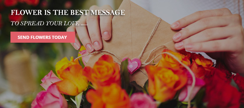 Send Flowers - Best Online Florist For All Your Occasions