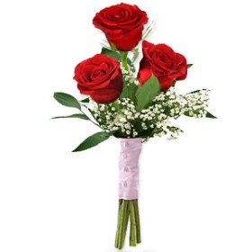 Elegant Romance