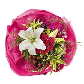 Duchess of Blooms
