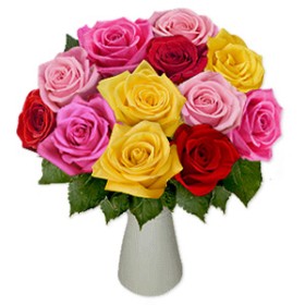 A Dozen Rainbow Roses