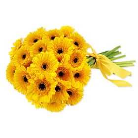 Sunshine Love