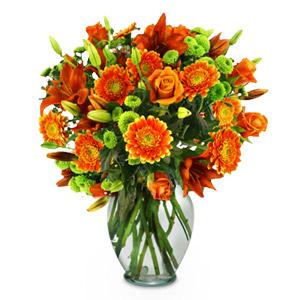 Orange Magnificence
