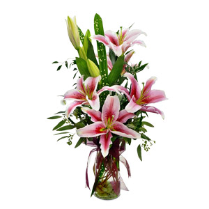 Stargazer Lilies in Vase