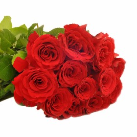 Ravishing Romance