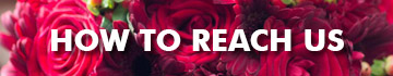Contact Us - Asiapetals.com